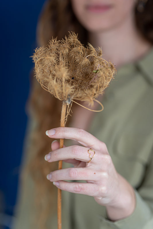 טבעת מסגרת לב