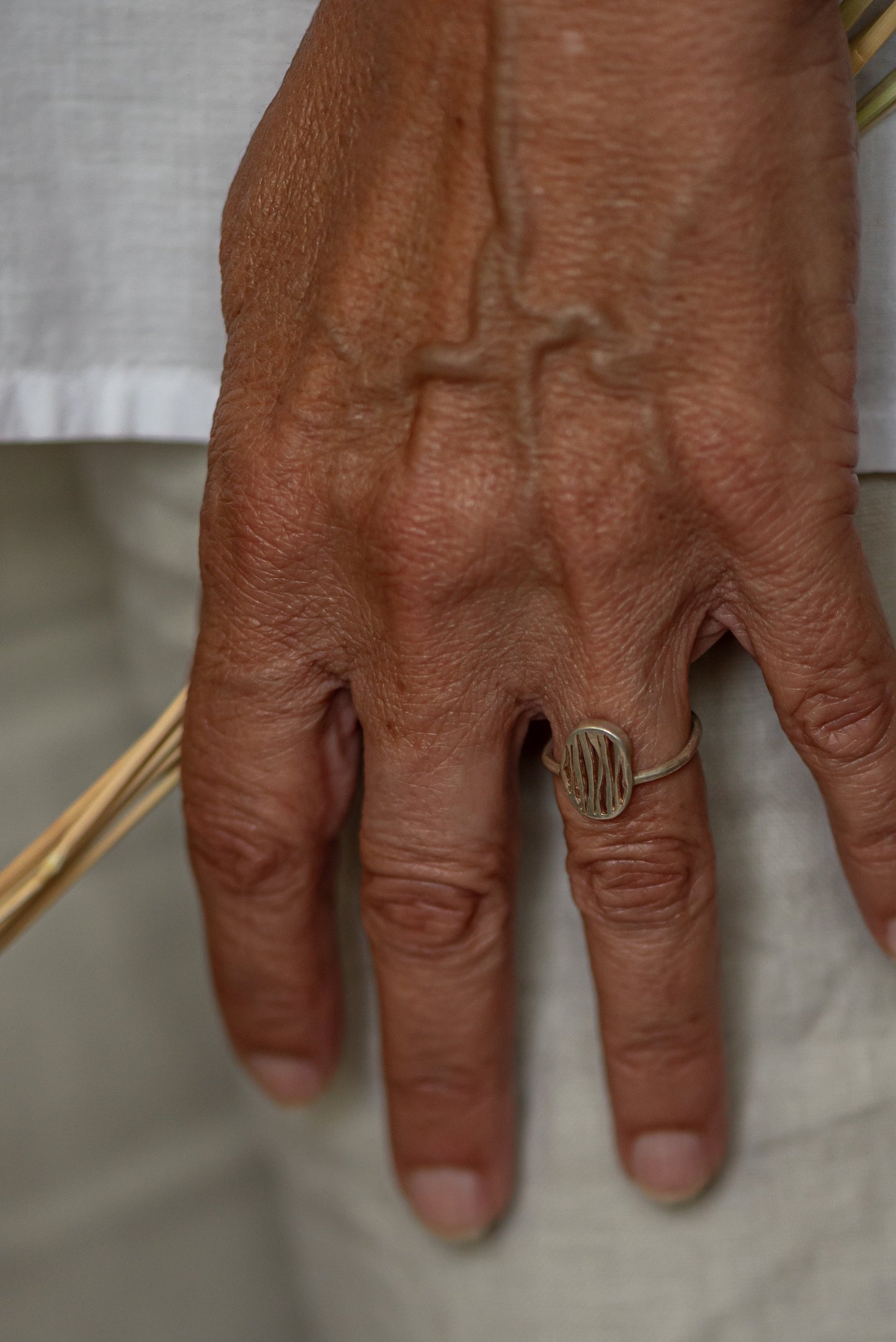 טבעת קווי נחל